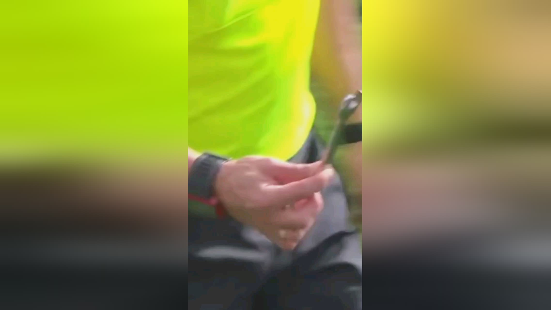 各国选